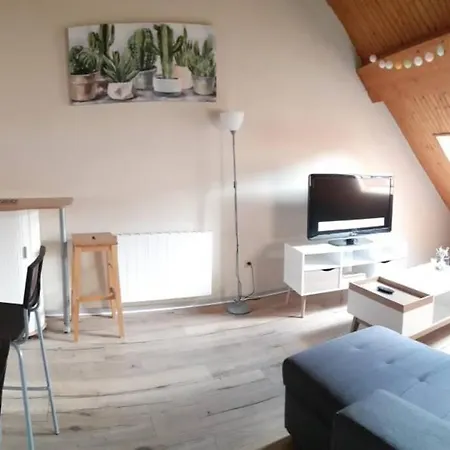 Duplex Au Centre Ville, Dans Cour Interieure Calme Dole Exterior photo