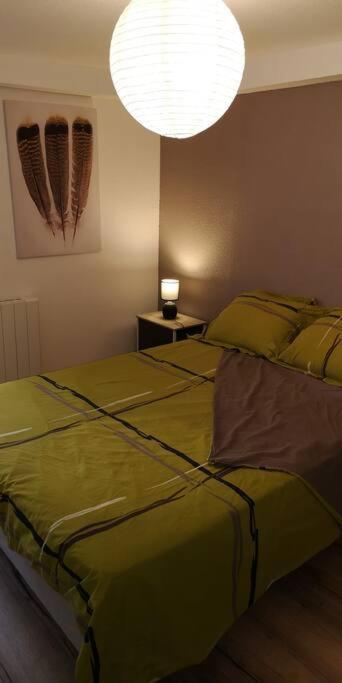 Apartment Duplex Au Centre Ville, Dans Cour Interieure Calme *